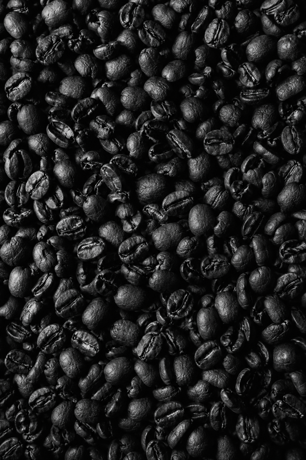 Close-up of roasted coffee beans