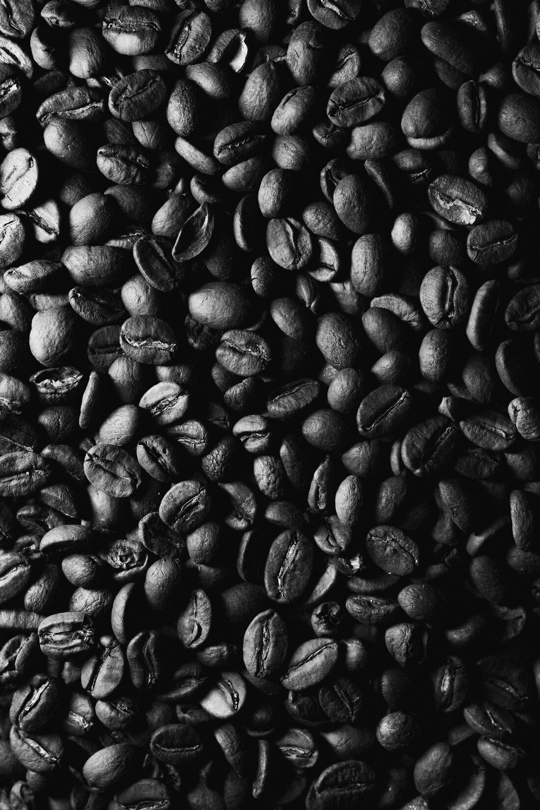Close-up of roasted coffee beans
